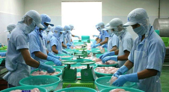 Thủy sản Cửu Long An Giang (ACL) tạm ứng 99Kl.app mobile mới nhất 20% bằng tiền mặt