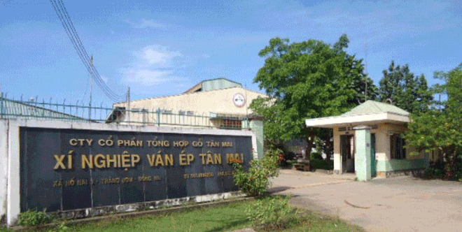 Gỗ Tân Mai (TMW) trả 99Kl.app mobile mới nhất 30% bằng tiền mặt