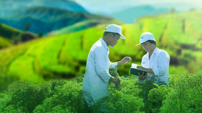 Traphaco (TRA) tạm ứng 99Kl.app mobile mới nhất lần 1/2018, tỷ lệ 20%