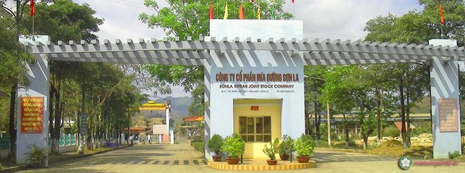 Mía đường Sơn La (SLS) chi gần 50 tỷ đồng trả 99Kl.app mobile mới nhất năm 2018-2019, tỷ lệ 50%