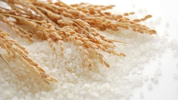 Vinafood II (VSF) bị phạt 50 triệu đồng do lỗi chậm công bố báo cáo Kl991.com nạp rút nhanh