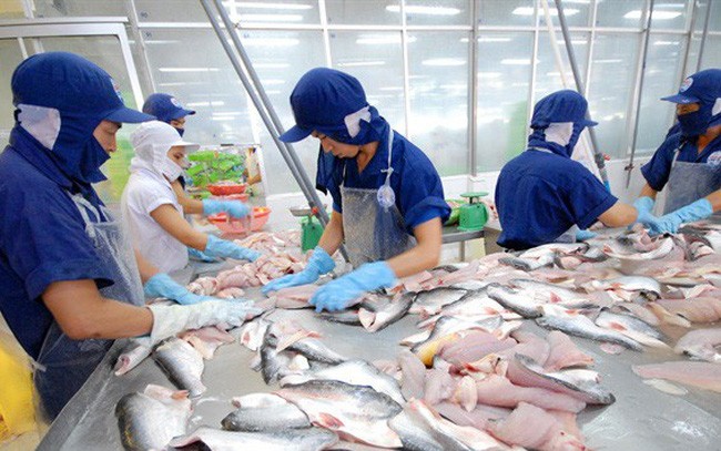 Nam Việt (ANV) chi hơn 127 tỷ đồng tạm ứng 99Kl.app mobile mới nhất đợt 1/2019