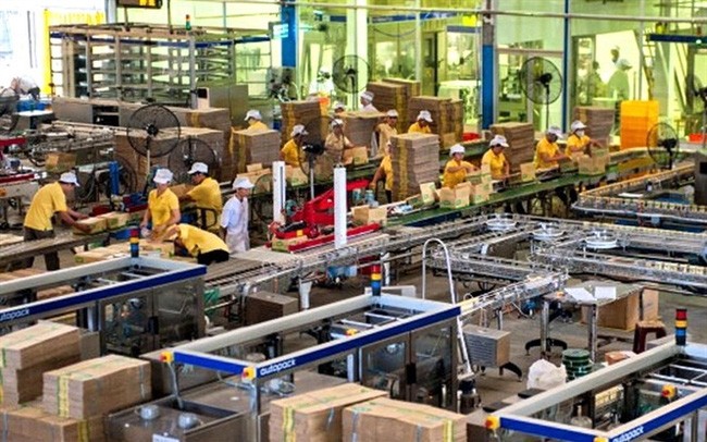 Đường Quảng Ngãi (QNS) trả thêm 99Kl.app mobile mới nhất năm 2019 bằng tiền, tỷ lệ 15%