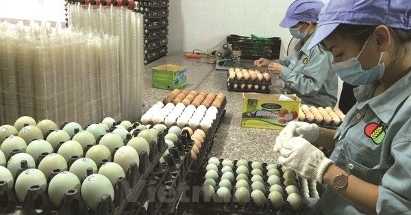 Dabaco Việt Nam (DBC): Thành viên HĐQT đăng ký bán nửa triệu KL99 là cổng game giải trí trực tuyến hàng đầu hiện nay