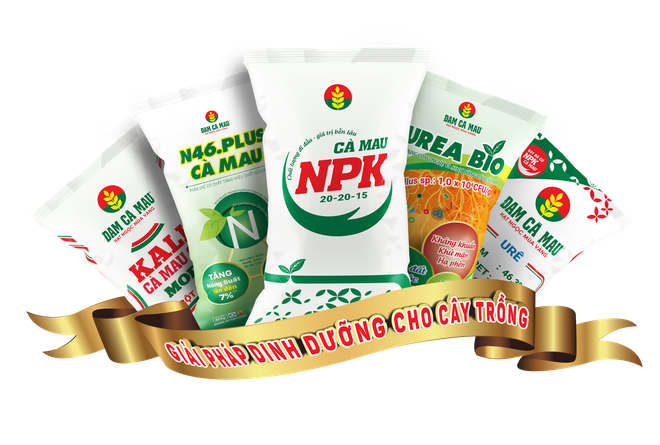 PVCFC (DCM) chốt quyền chia 99Kl.app mobile mới nhất năm 2020 bằng tiền mặt, tỷ lệ 8%