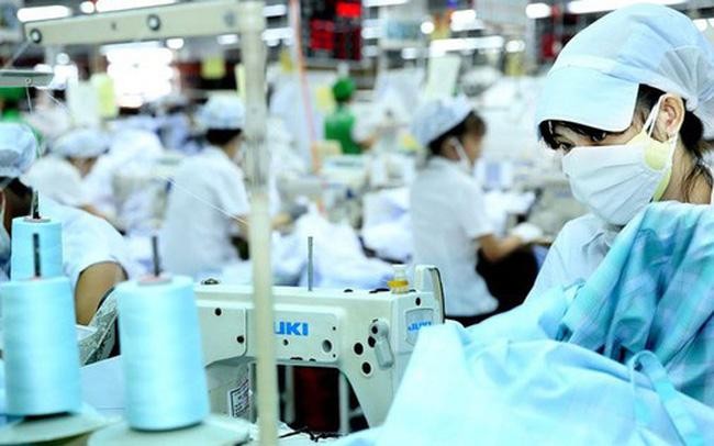 May Xuất khẩu Phan Thiết (PTG) trả 99Kl.app mobile mới nhất cao gấp 20 lần thị giá