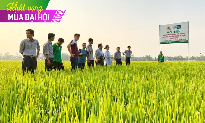 Chuyện ngược đời ở Lộc Trời (LTG): Đặt kế hoạch Kl99 nổ hũ thấp để hưởng thưởng lớn?