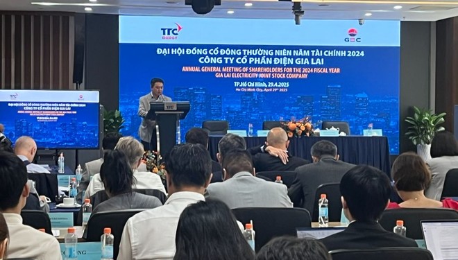 ĐHCĐ Điện Gia Lai (GEG) ngày 29/4
