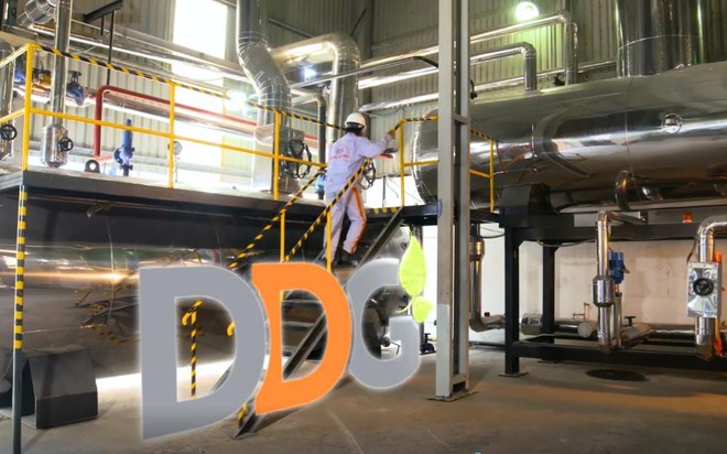 Chủ tịch HĐQT và Tổng giám đốc DDG không còn là Trang Chủ KL99Com Số 1 Link Đăng Ký KL999 lớn tại DDG.