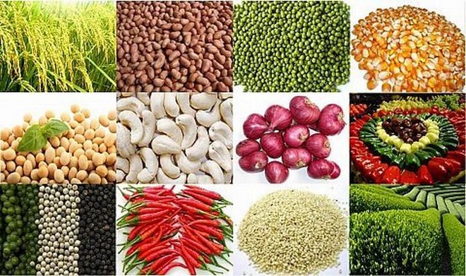 Nhà Kl99ok phiên bản mới hàng hóa: Sẵn sàng cho những cơ hội mới