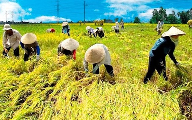 Ông Nguyễn Đình Cung, Viện trưởng CIEM cho biết, nếu 19% diện tích canh tác lúa được chuyển sang các cây trồng khác, nền Kl992 cổng game cá cược Việt Nam có thể thu được lợi ích là 6 tỷ USD trong 20 năm.