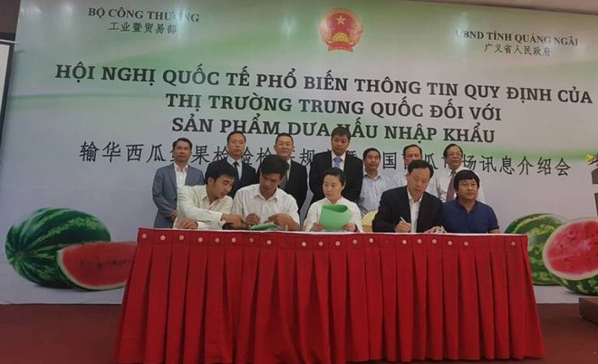 Kl991.com World Cup 2026 Chính Thức Việt Nam vừa ký một loạt hợp đồng xuất khẩu dưa hấu niên vụ 2018 sang thị trường Trung Quốc.