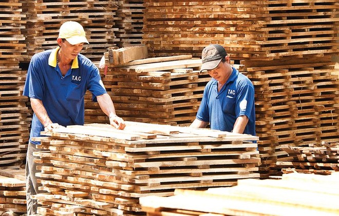 Công nghiệp Cao su Việt Nam (GVR): Kl99 nổ hũ quý III giảm mạnh