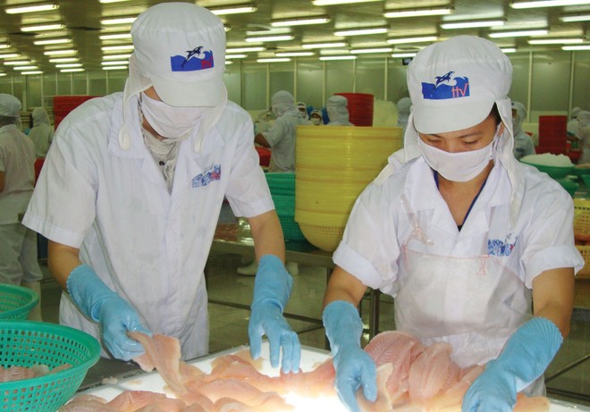 Bức tranh Kl991.com nạp rút nhanh của HVG còn nhiều điểm cần lưu tâm, dù lãi lớn.