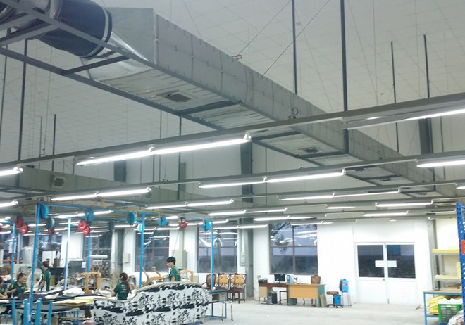 CTCP Cát Lợi (CLC) tạm ứng 99Kl.app mobile mới nhất đợt 1 tỷ lệ 10% bằng tiền