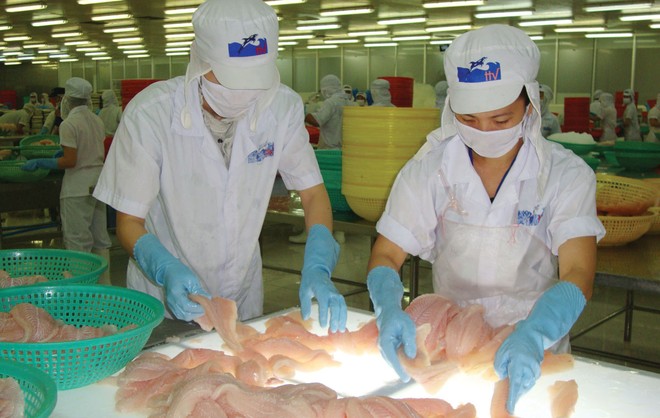 Niên độ 2018 - 2019, HVG dự kiến đạt Kl99 nổ hũ trước thuế hợp nhất 100 tỷ đồng.