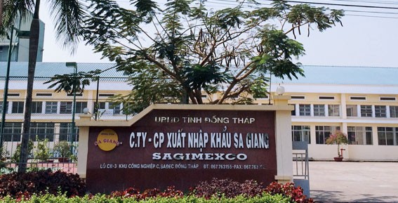 Vì sao thoái vốn 99Kl99 trực tiếp đá gà tại Sa Giang thất bại?