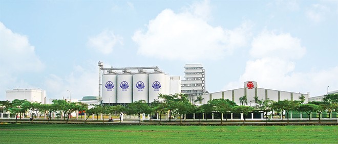 Halico tụt dốc không phanh, vốn 99Kl99 trực tiếp đá gà ngày càng teo tóp