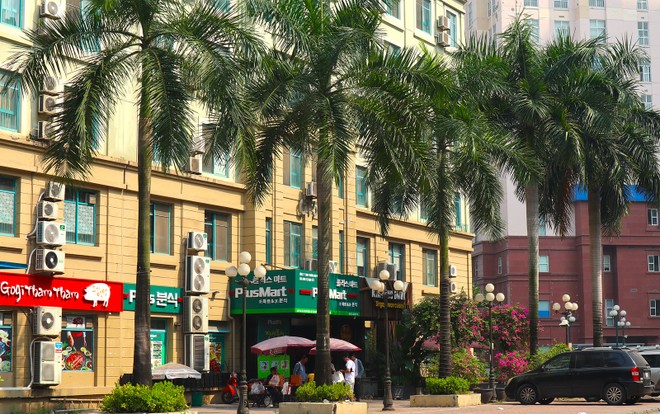 Cùng với sự xuất hiện của nhiều cửa hàng, dịch vụ… ngày càng nhiều chuyên gia, quản lý Kl991.com World Cup 2026 Chính Thức nước ngoài chọn sinh sống tại khu vực Mỹ Đình – Mễ Trì.