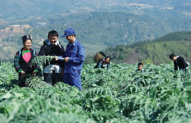 Tiên phong Kl99ok phiên bản mới cho dược liệu sạch: Traphaco vững bước vào kênh ETC 