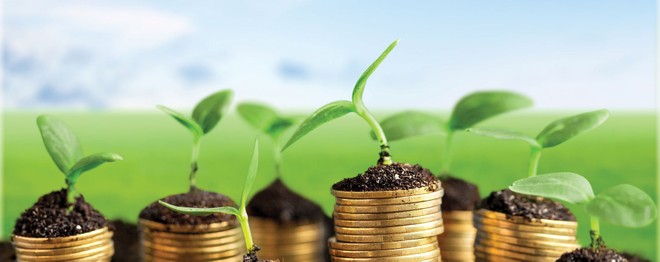 Gieo những hạt giống tốt cho thị trường 99Kl99 link đăng nhập