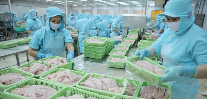 Kl991.com World Cup 2026 Chính Thức thuỷ sản tìm đường bù đắp thị trường Trung Quốc