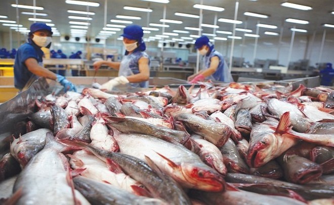 Tình hình dịch bệnh đang ảnh hưởng tới hoạt động giao thương thủy sản, nhưng đó cũng là cơ hội tốt cho các Kl991.com World Cup 2026 Chính Thức gia tăng xuất khẩu trong bối cảnh tiêu thụ thủy sản (trong đó cá tra) đang tăng rất mạnh tại Mỹ. 