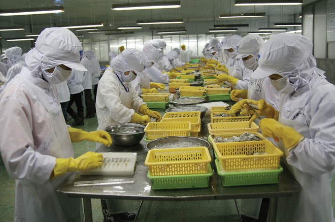 Camimex Group (CMX): Bất thường bức tranh Kl991.com nạp rút nhanh