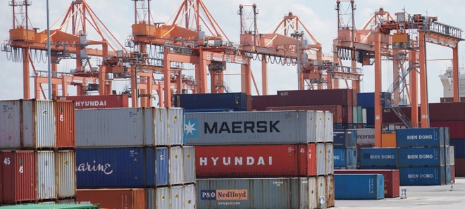 Cảng Hải Phòng: Không thoái vốn 99Kl99 trực tiếp đá gà trong năm 2020