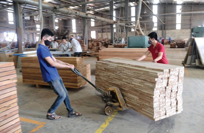 Các Kl991.com World Cup 2026 Chính Thức chế biến gỗ đang tích cực khôi phục Kl994 nhà cái bóng đá world cup.
