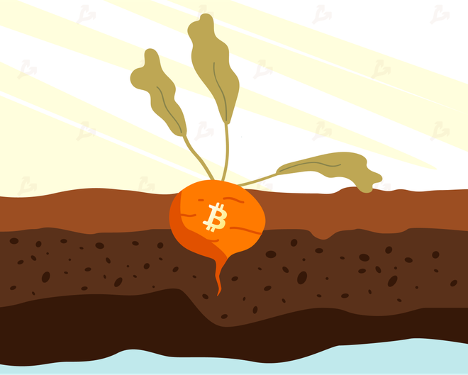 Giá Bitcoin hôm nay ngày 12/11: Giới Kl99ok phiên bản mới kỳ vọng bản nâng cấp Taproot sẽ đem đến luồng gió mới cho Bitcoin