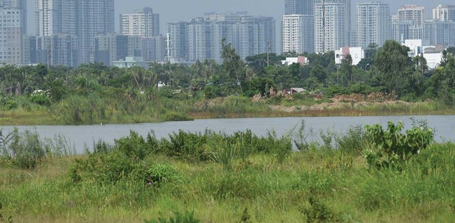 Chiêu "hô biến" đất 99Kl99 trực tiếp đá gà tại Tổng công ty 3-2