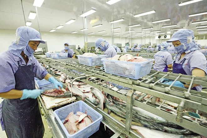 Thủy sản là ngành dính nhiều vụ kiện phòng vệ thương mại, nhưng các Kl991.com World Cup 2026 Chính Thức đã vượt qua. Ảnh: Đức Thanh.