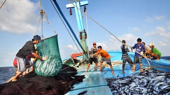 Bộ Công Thương đề nghị Thủ tướng Kl993 ưu đãi thưởng hấp dẫn chỉ đạo các Bộ ngành, địa phương cân đối, bố trí ngân sách để hỗ trợ giá KL99 dịch vụ hỗ trợ 24/7 cho ngư dân.