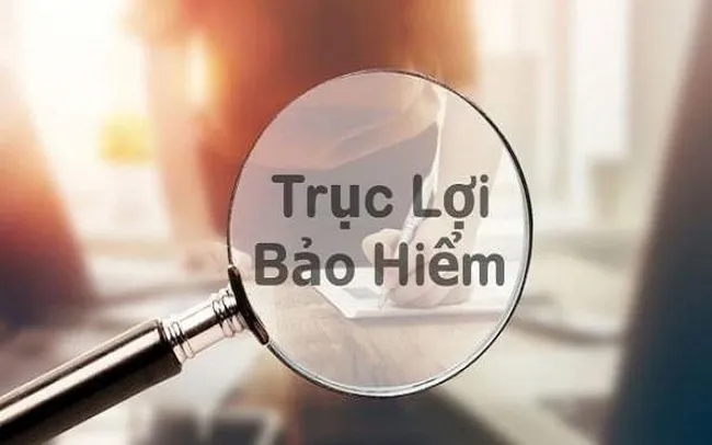 Xử lý hành vi trục lợi Kl99kl phiên bản hoạt động cần một chế tài thống nhất, đủ mạnh