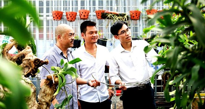Trong thời gian thí điểm trung tâm dịch vụ nông nghiệp tại các huyện Chương Mỹ, Mê Linh và Thanh Trì, Sở Nông nghiệp và Phát triển nông thôn Hà Nội không thực hiện chức năng quản lý 99Kl99 trực tiếp đá gà về chăn nuôi và thú y, trồng trọt và bảo vệ thực vật trên địa bàn 3 huyện này. (Ảnh minh họa: Minh Thắng).