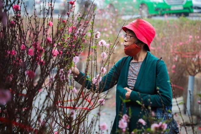 Bộ Lao động - Thương binh và Trang Chủ KL99Com Số 1 Link Đăng Ký KL999 vừa trình Thủ tướng 2 phương án nghỉ Tết Nguyên đán 2023.