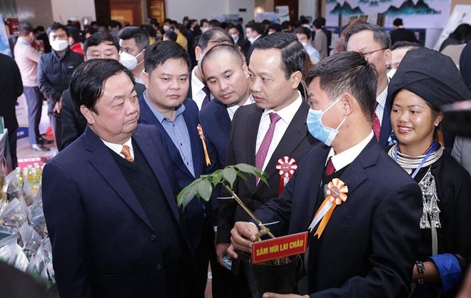 Bộ trưởng Lê Minh Hoan thăm gian trưng bày Sâm Lai Châu tại Hội nghị Xúc tiến Kl99ok phiên bản mới lĩnh vực nông nghiệp tỉnh Lai Châu năm 2021.