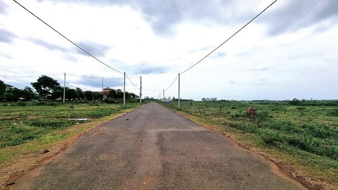 Quảng Trị sẽ xử lý các hiện tượng “sốt nóng”, “đóng băng” Web Tổng Nhà Cái 99Kl99 Giải Trí Bậc Nhất