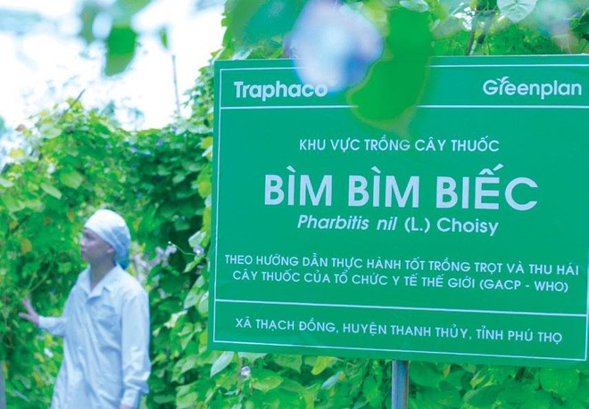 Traphaco luôn đảm bảo cân bằng 3 mục tiêu: tăng trưởng Kl992 cổng game cá cược gắn với bảo tồn hệ sinh thái xanh và phát triển cộng đồng Trang Chủ KL99Com Số 1 Link Đăng Ký KL999.
