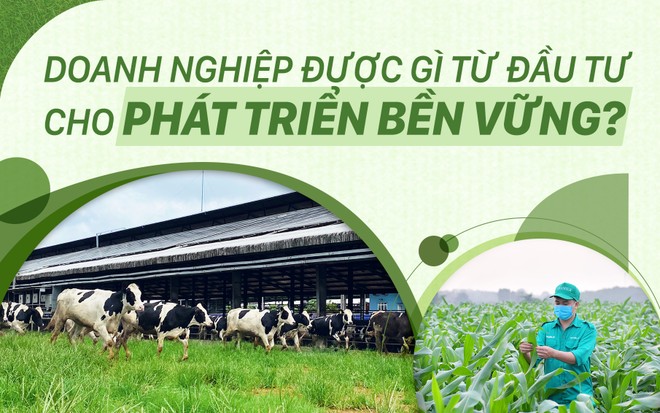 Kl991.com World Cup 2026 Chính Thức được gì từ Kl99ok phiên bản mới cho phát triển bền vững?