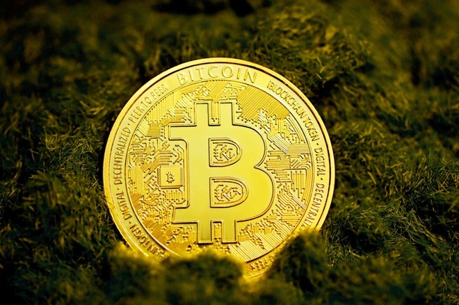 Bitwise: Kl993 nền tảng giải trí đổ vào Bitcoin có thể đạt 420 tỷ USD vào năm 2026