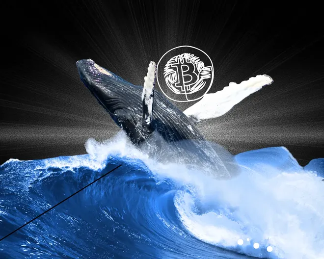 Quý I/2026, nhóm các nhà Kl99ok phiên bản mới "cá voi" Bitcoin cắt lỗ hơn 30 tỷ USD