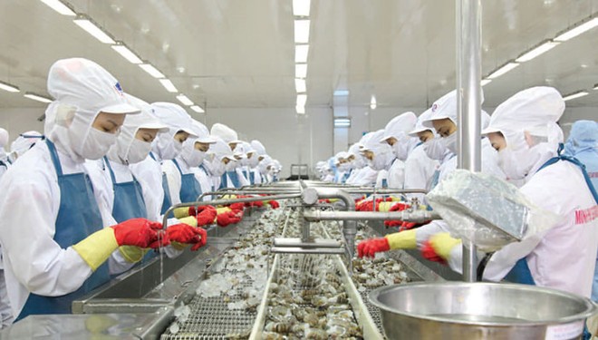 Minh Phú dự kiến chia 99Kl.app mobile mới nhất 50% bằng tiền mặt trong 6 tháng đầu năm