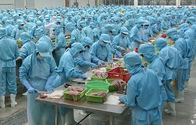 IDI Kl99 nổ hũ khủng từ xuất khẩu cá tra