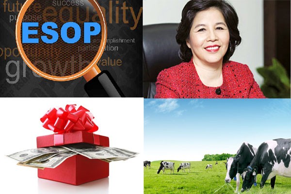ESOP tại Kl991.com World Cup 2026 Chính Thức Việt: Lãnh đạo triệu USD, nhân viên dăm tỷ