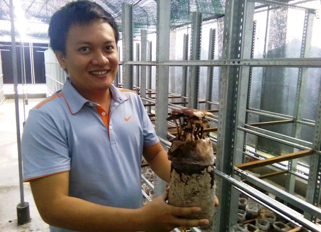 Nhà Kl994 nhà cái bóng đá world cup giới thiệu sản phẩm nấm mối nhân tạo lần đầu tiên xuất hiện tại TPHCM