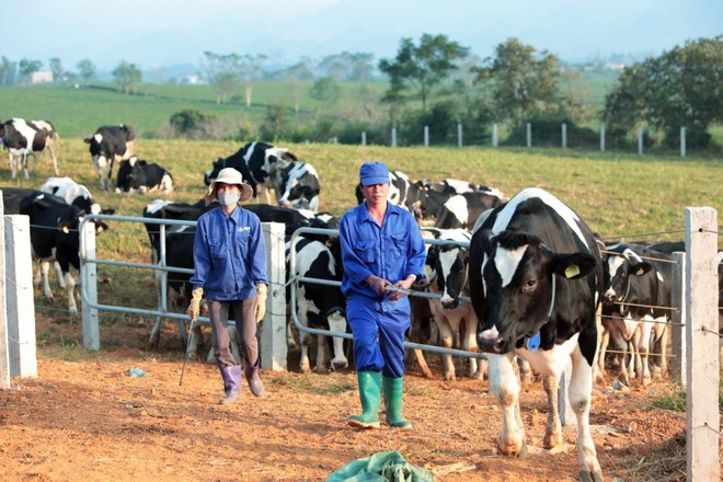 GTNFoods (GTN) bị phạt 70 triệu đồng vì lỗi công bố thông tin