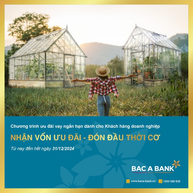 BAC A BANK: Ưu đãi KL99 là cổng game giải trí trực tuyến hàng đầu hiện nay cho Kl991.com World Cup 2026 Chính Thức vay ngắn hạn