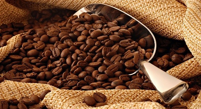 CTP: 9 tháng lãi 17,9 tỷ đồng Kl99 nổ hũ sau thuế